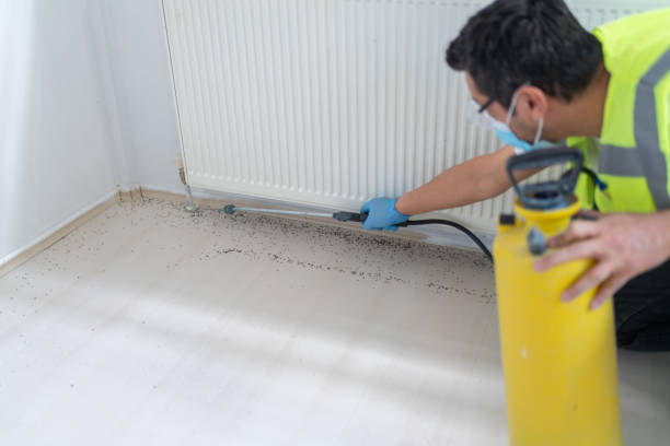 Best Pest Inspection Near Me  in Agency Village, SD