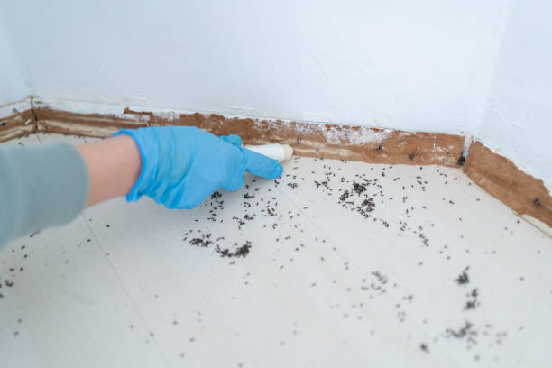 Best Cockroach Control Services  in Agency Village, SD