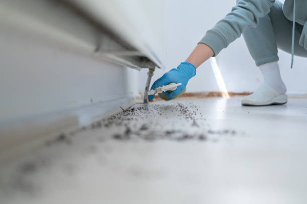Agency Village, SD Pest Control Company