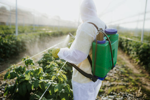 Best Affordable Pest Control Services  in Agency Village, SD
